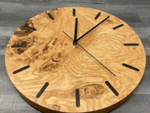 Mini San Pedro Cactus